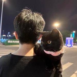 军哥电竞严选