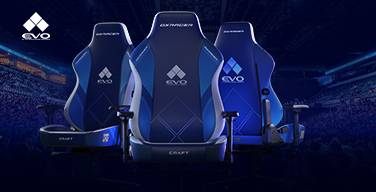 Evolution Championship Series (Evo) 