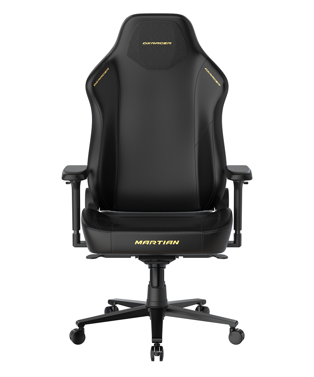 Dxracer-1